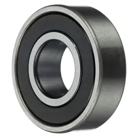 6202rsr Fag Clutch Pilot Bearing-natural