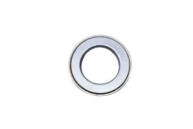 Ford Eoaz-7f243-a New Oem Inner Clutch And Bearing Assembly Nos