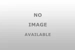 Helix Racing 3909601 Clutch Spider Nut Socket For Polaris. Fixed Price $87.99.
