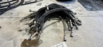 Ferrari 360 F430 Clutch Hydraulic Line Oem Pipe P/n 174554. Fixed Price $300.00.