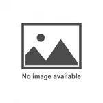 Racing Power Co-packaged Gm Brake Rotor Dust Caps Pair R1813. Fixed Price $30.16.