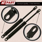 L+r Gas Springs SG302004 Rear Trunk Lift Support Cylinder For Bmw 318I 325I. Fixed Price $20.09.