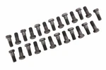 Genuine Gm Clutch Flywheel Bolt 838653. Fixed Price $147.25.