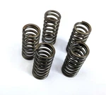 Ebc Series Clutch Springs +15% CSK177 For 08-14 Kawasaki KFX450R. Fixed Price $9.57.