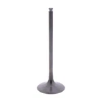 Jmp Intake Valve 11348550131 For Bmw 1000 HP4 Competition 2013-2016. Fixed Price $404.02.