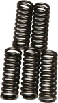 Ebc Clutch Springs #CSK172 For Honda TRX250/TRX200. Fixed Price $16.19.