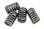 Clutch Spring Kit 163091 EBCCSK172. Fixed Price $18.15.
