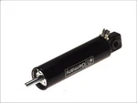 Working Cylinder, Engine Brake Dt Spare Parts 4.60704 Man F90 9.66 1989-1997. Fixed Price $49.46.