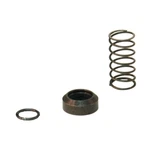 Tilton Spring Kit Standard Rotation Super 54-446. Fixed Price $22.10.