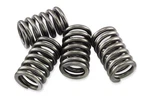 Ebc CSK197 Clutch Spring Kit. Fixed Price $17.62.