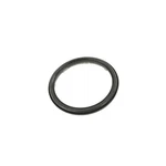 Genuine Mopar 2ND & 4TH Clutch Piston Retainer Package 68020279AA. Fixed Price $47.45.