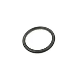 Genuine Mopar 2007-2021 Dodge Grand Caravan Clutch Piston Retainer 68020279AA. Fixed Price $39.59.