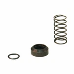 Complete Spring Kit Tilton 54 446. Fixed Price $12.61.