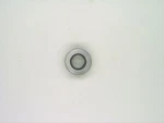 Release Bearing 71VWWQ26 For Bonneville Catalina Executive Lemans Tempest. Fixed Price $45.75.