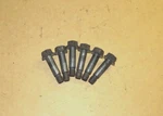 1989-1996 Corvette Zf 6-SPEED Pressure Plate To Flywheel Bolts Set, (6) 10079898. Fixed Price $39.99.