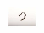 For 1982, 1984-2005 Chevrolet Corvette Auto Trans Clutch Spring Ac Delco 76764SQ. Fixed Price $14.72.